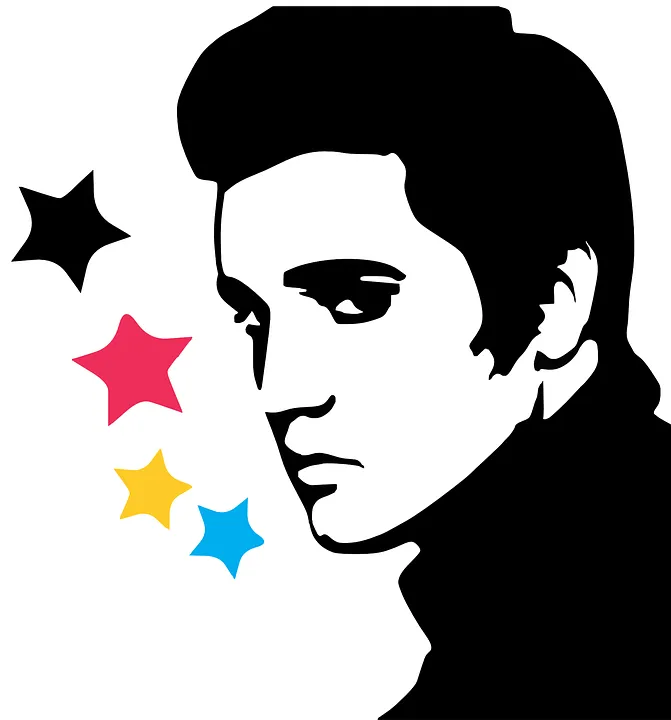 elvis-presley-308825_960_720