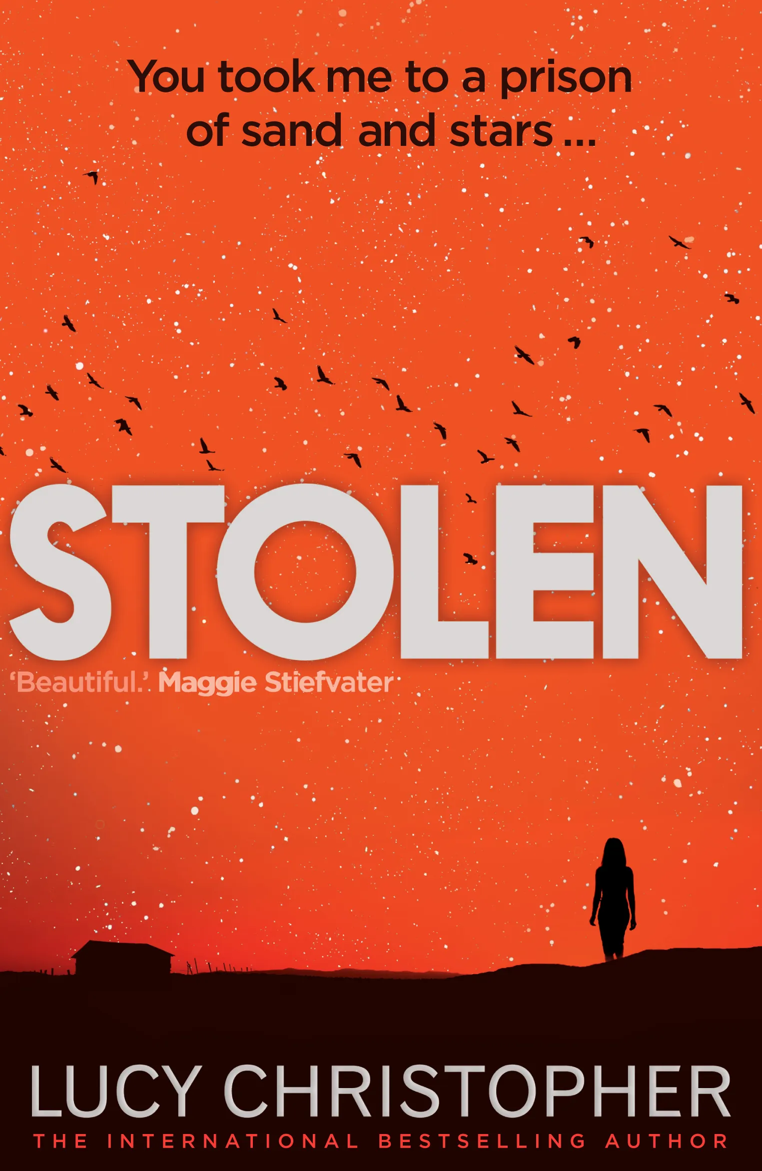 stolen-recover-20131