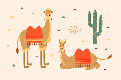 Children's book illustration of two camels standing in a desert with a cactus behind them